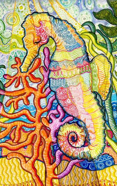calendarseahorsecove