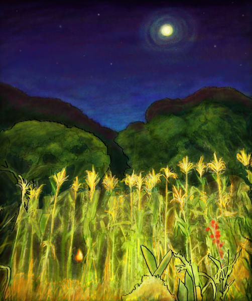 Gift Shop: Malawian Maize