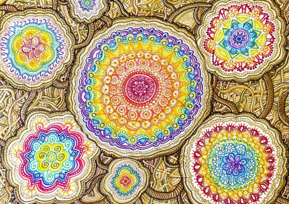 Gift Shop: Comfort Frequencies