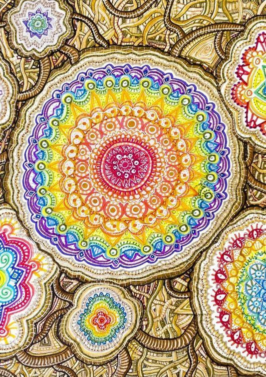 Gift Shop: Comfort Frequencies