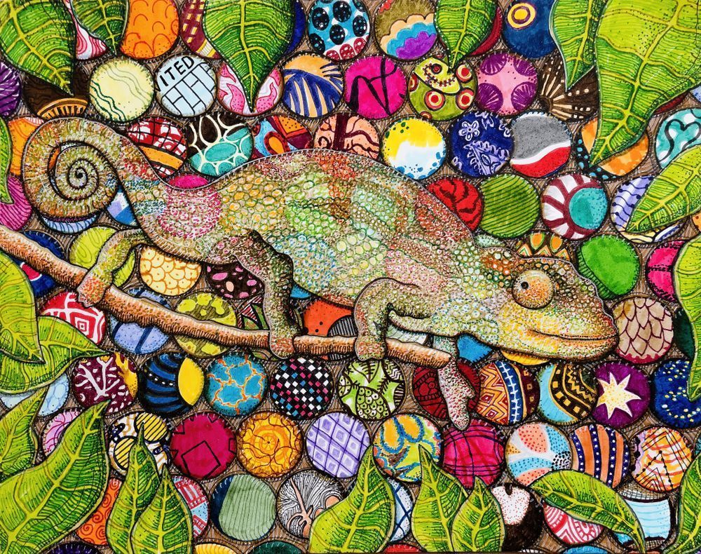 Gift Shop: Cultural Chameleon