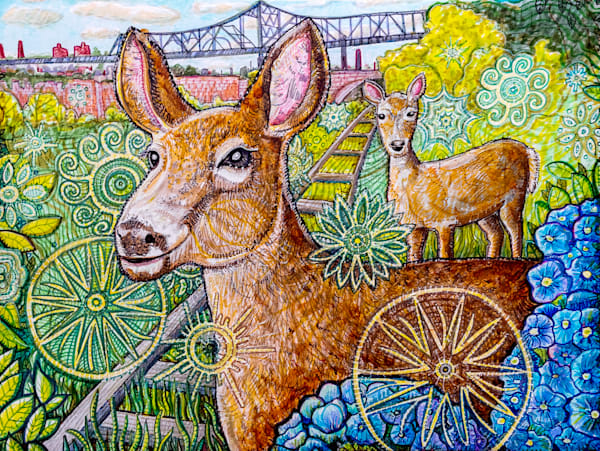 Nature Emerges -Fall River Deer