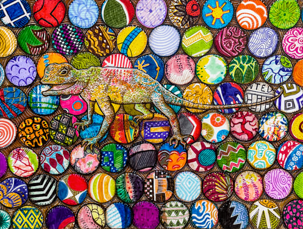 Agama Pretending to Be a Chameleon