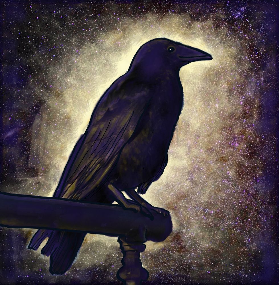 Gift Shop -Black Raven of Love and Peace