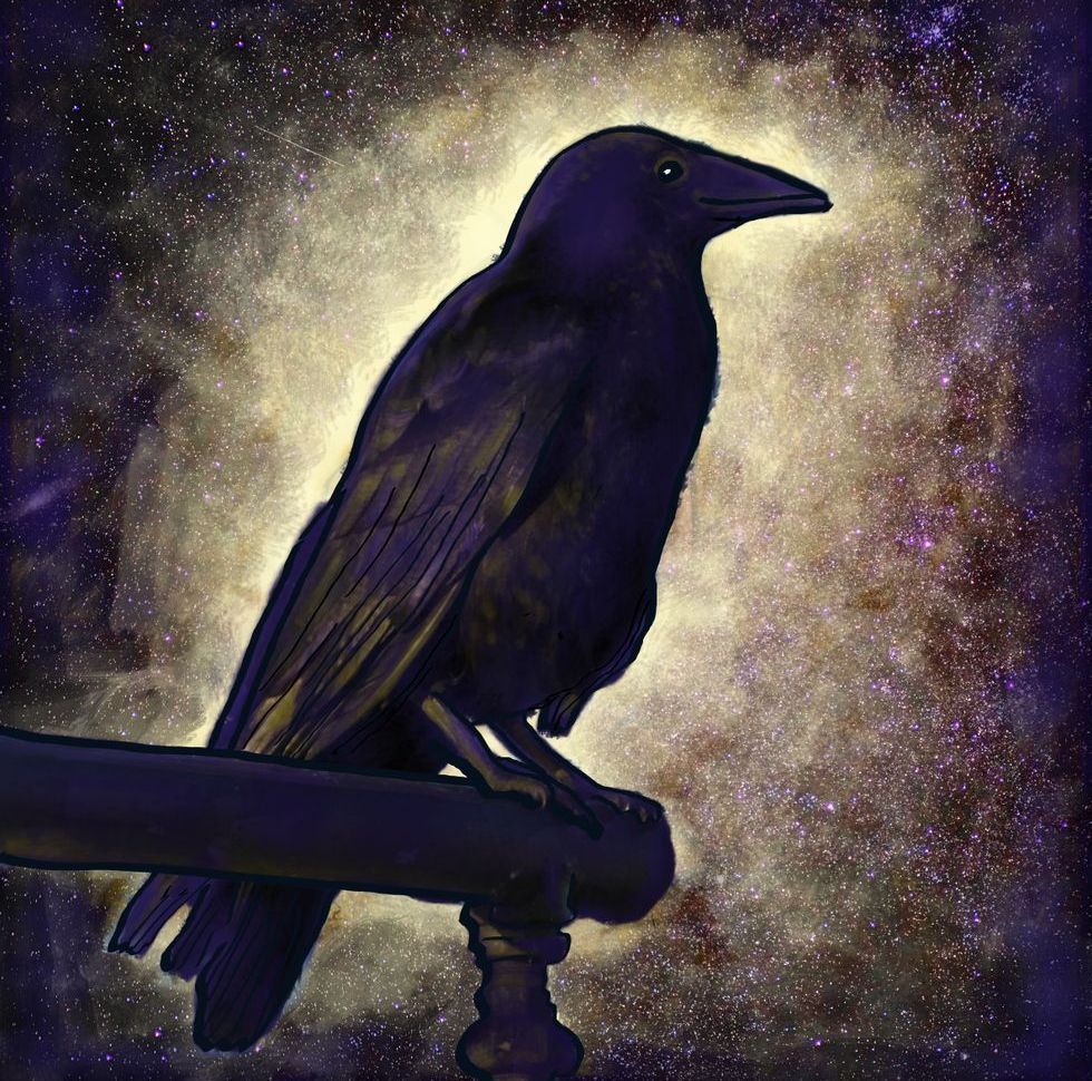 Gift Shop -Black Raven of Love and Peace