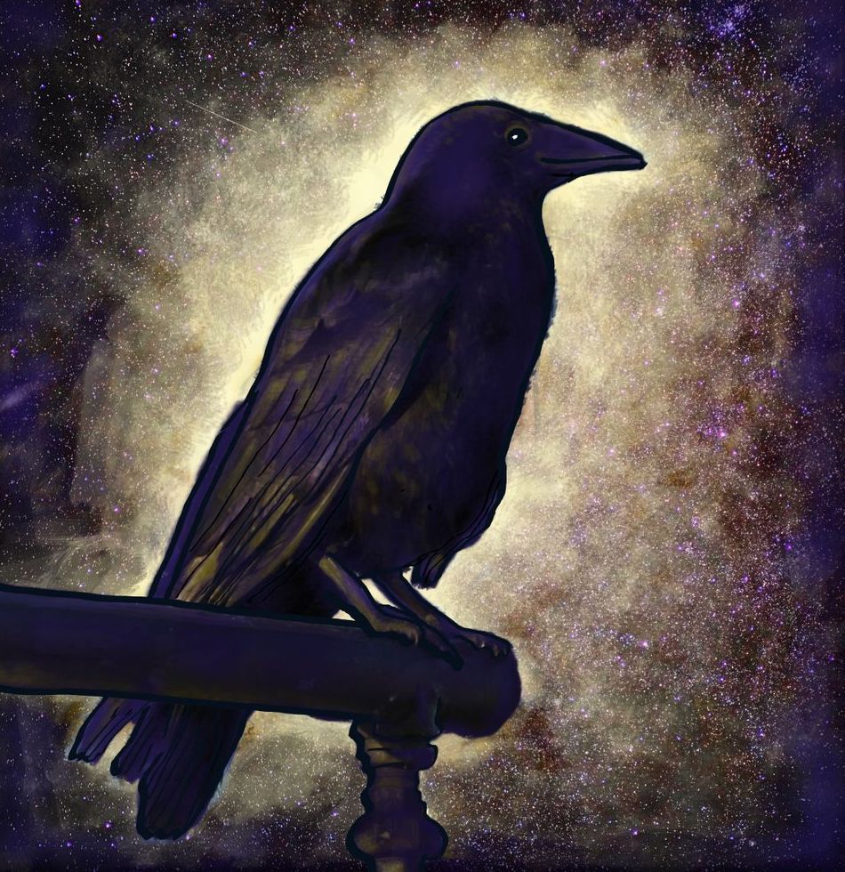 Gift Shop -Black Raven of Love and Peace
