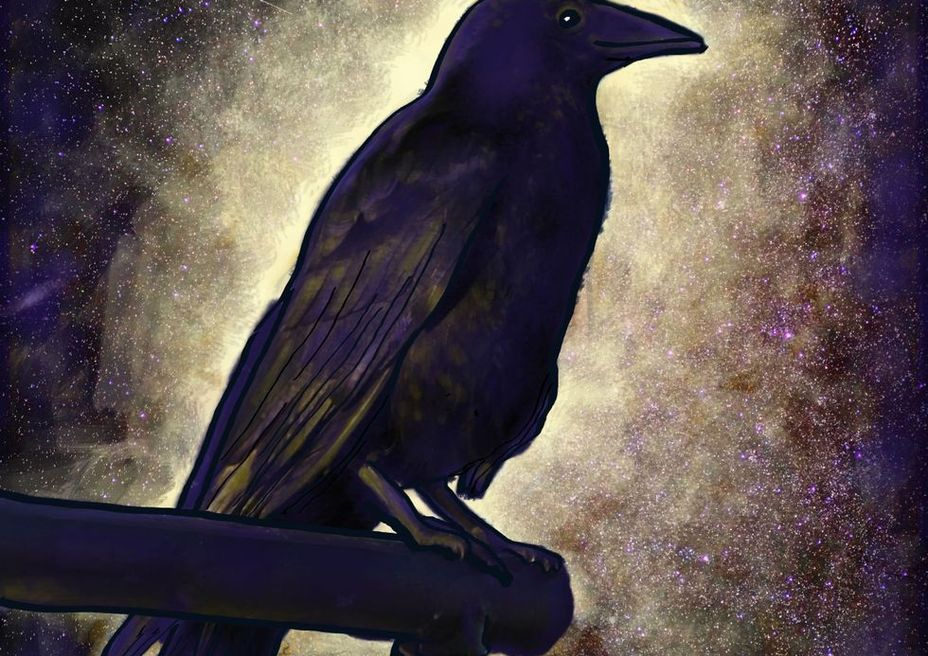 Gift Shop -Black Raven of Love and Peace
