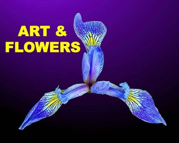 ART & FLOWERS  (FREE SHIPPING)