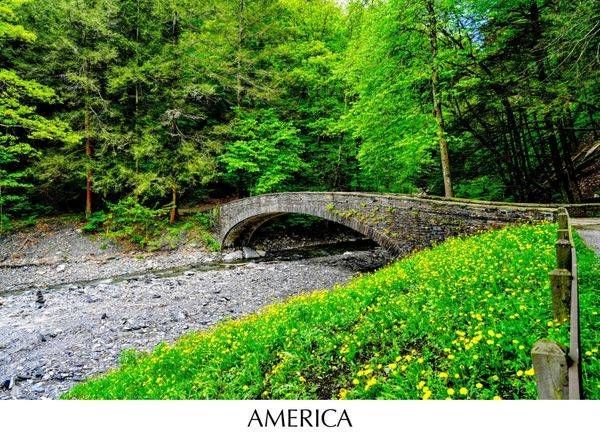 AMERICA 
