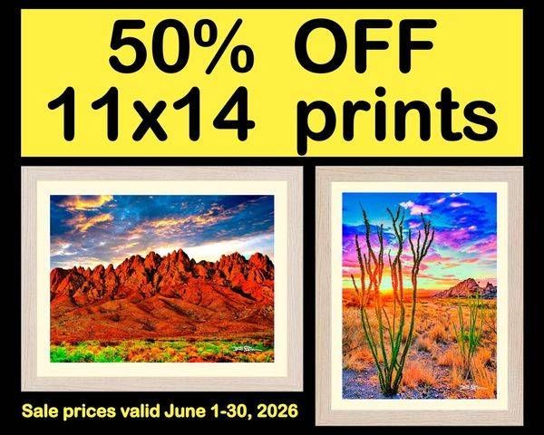 JUNE SALE 11x14s