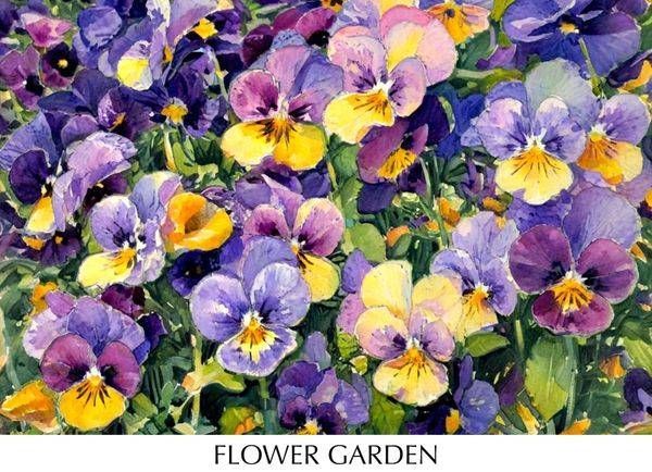 FLOWER GARDEN