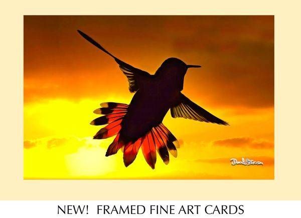 NEW! FRAMED FINE ART CARDS