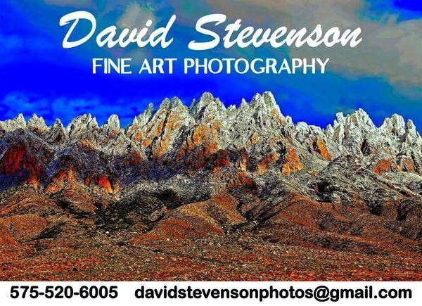 David Stevenson
