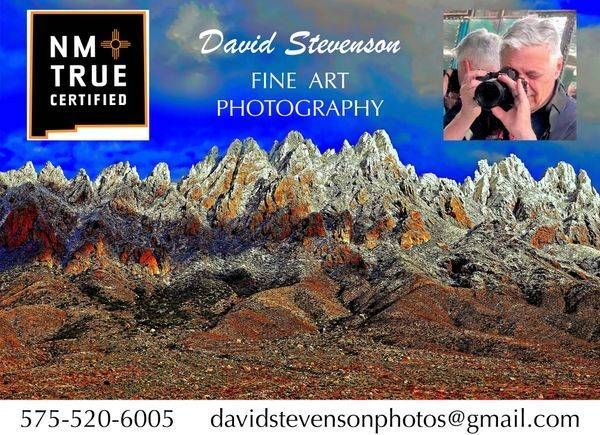 David Stevenson 
