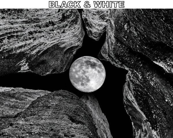 BLACK AND WHITE PRINTS (FREE SHIPPING)