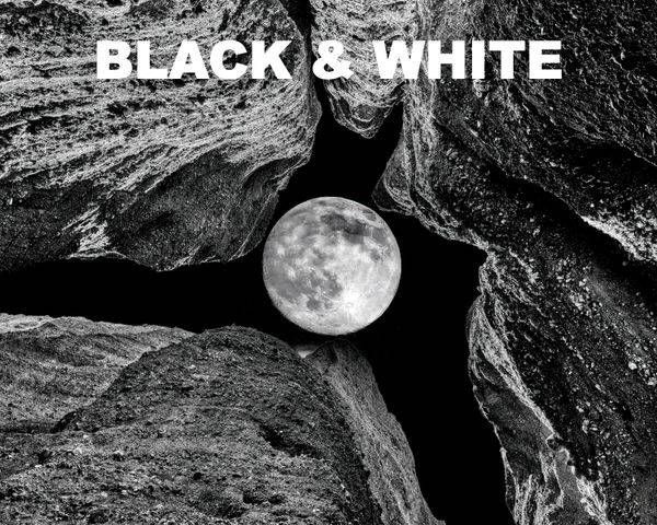 BLACK & WHITE (FREE SHIPPING)