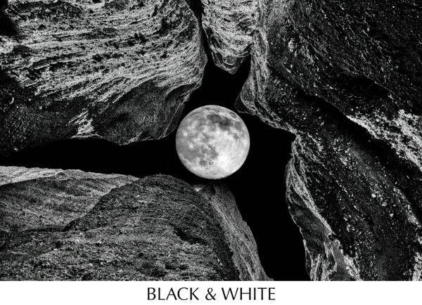 BLACK AND WHITE 