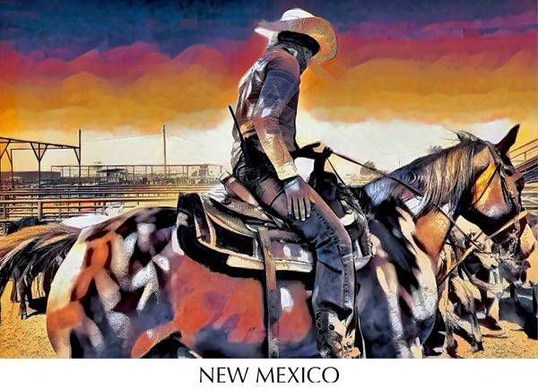 NEW MEXICO 