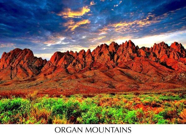 ORGAN MOUNTAINS 
