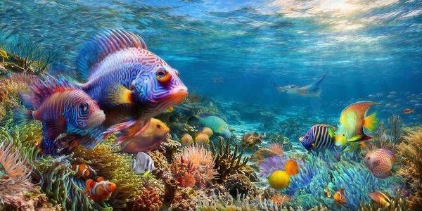 Silent Beauty Art | Larry Hersberger