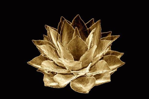 Agave Gold Art | Handmade Future Studio by Lisa Niedermeyer