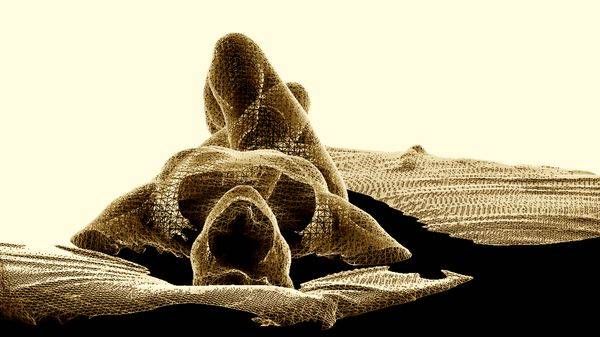 Landscape Legs Crossed Art | Handmade Future Studio by Lisa Niedermeyer
