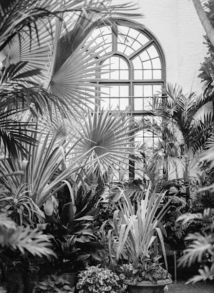 Conservatory View Ii Bw  Biltmore Estate Series Art | Wild at Heart Art