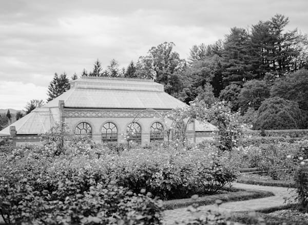 Conservatory And Rose Garden Bw  Biltmore Estate Series Art | Wild at Heart Art