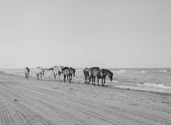 A Walk On The Beach Bw  Corolla Beach Series Art | Wild at Heart Art