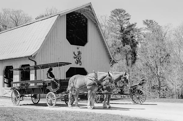 Deerpark Carriage And Barn Bw  Biltmore Estate Series Art | Wild at Heart Art