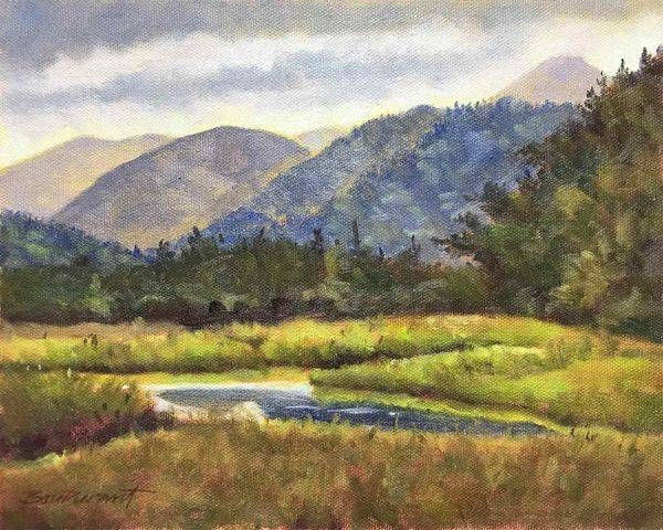 Rains Approaching Art | Steve BonDurant Fine Art LLC