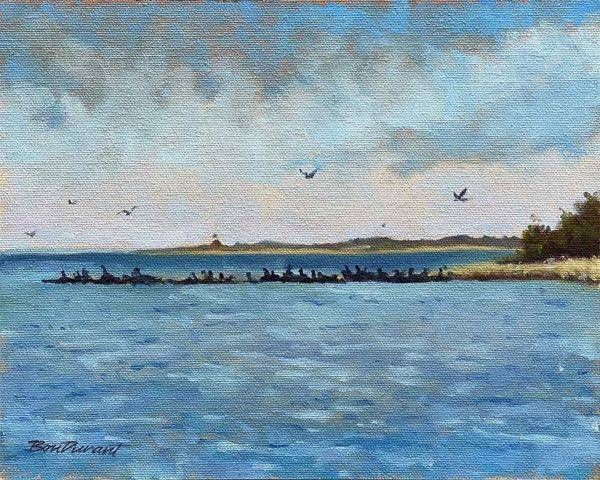 Cormorants At Rest Art | Steve BonDurant Fine Art LLC