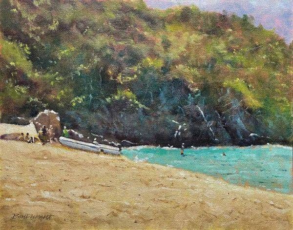 Trunk Bay Art | Steve BonDurant Fine Art LLC