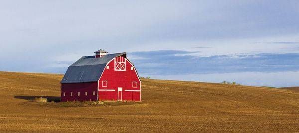 Red Barn Palouse Photography Art | Dana Echols Photography 