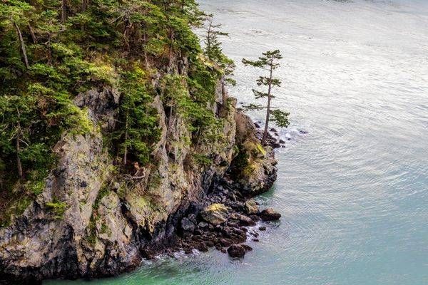 Deception Pass Photography Art | Dana Echols Photography 