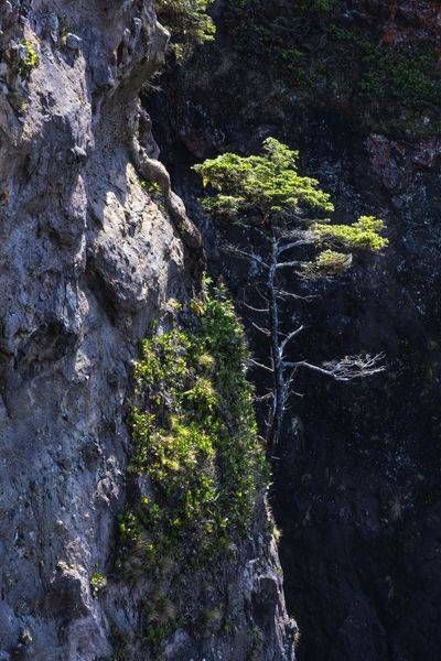 Hanging On Photography Art | Dana Echols Photography 