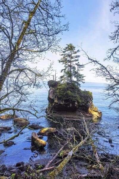 Tree Island Lake Crescent Photography Art | Dana Echols Photography 