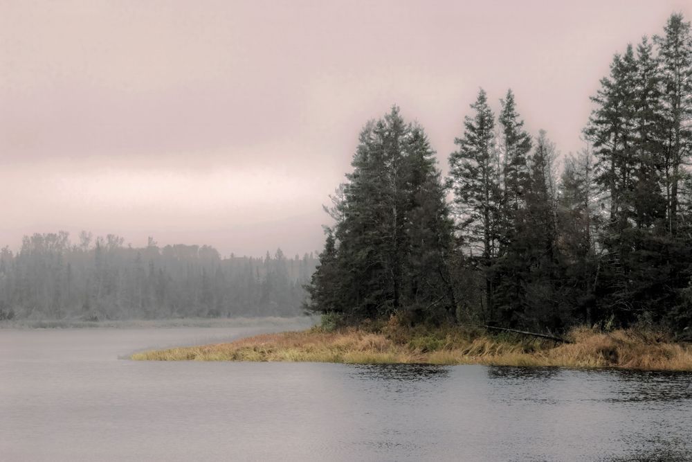 Quiet Pond New Brunswick Photography Art | Dana Echols Photography 