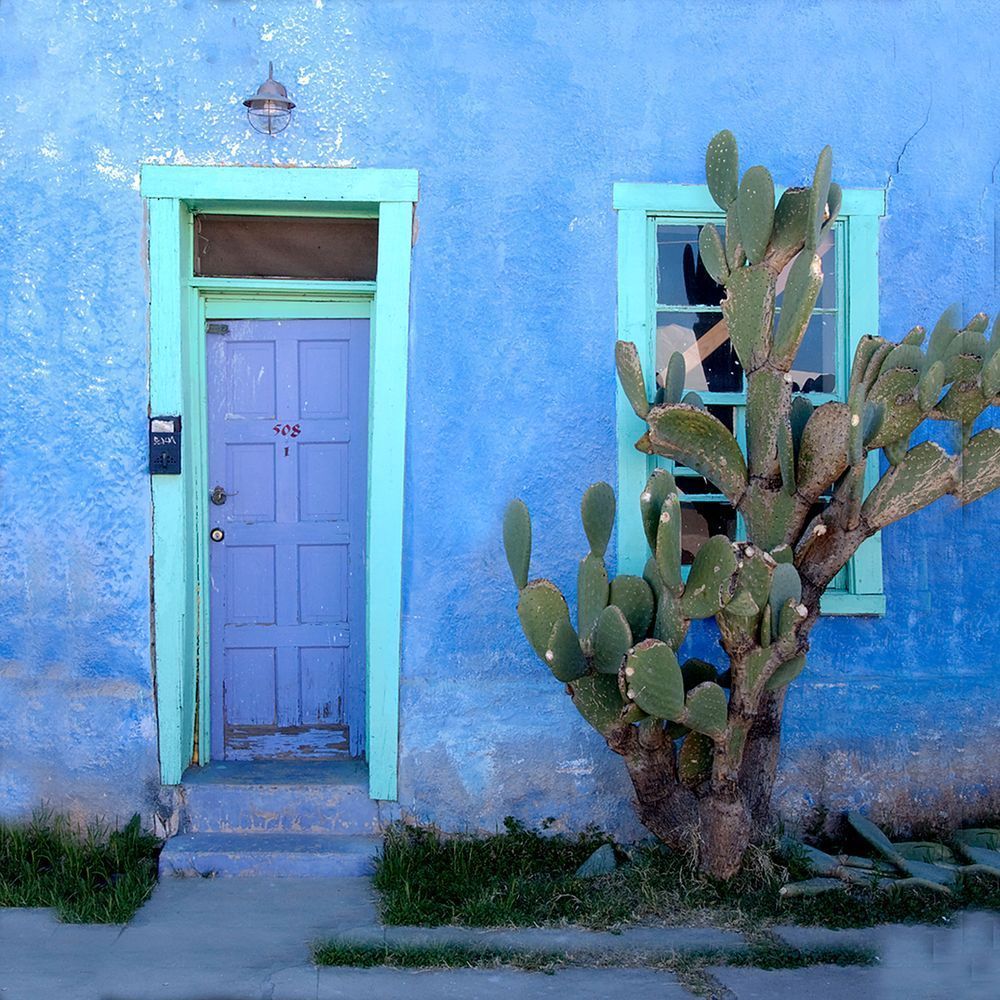 Blue Gree Door Tucson Photography Art | Dana Echols Photography 