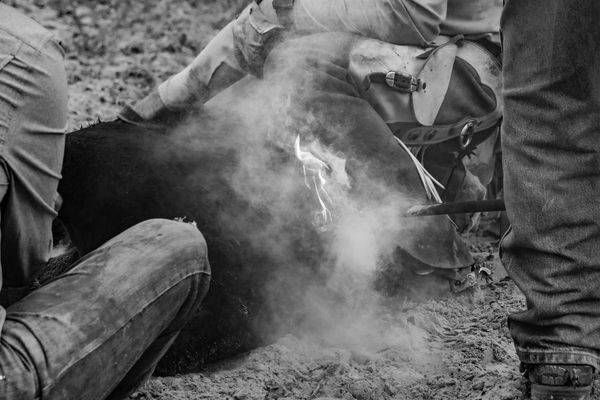Marked by Fire