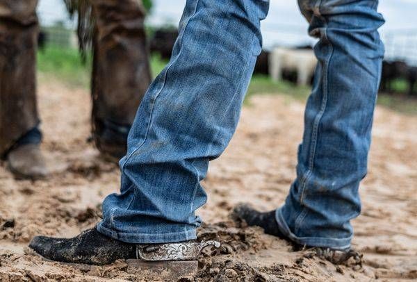 Spurs in the Dirt