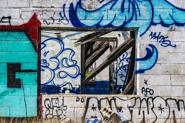 _DSC7803.NEF