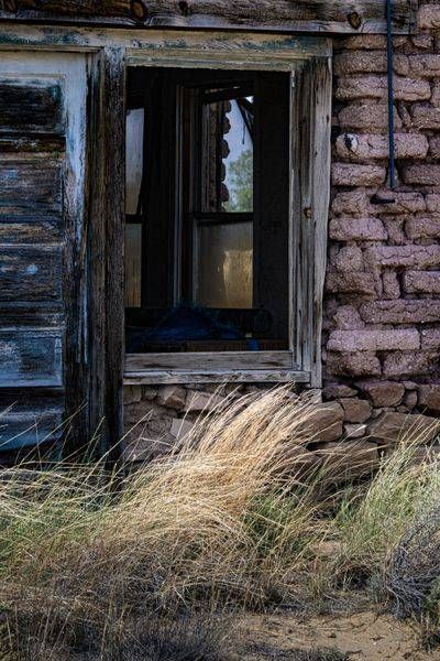 _DSC7913.NEF