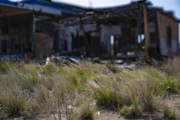 _DSC7755.NEF