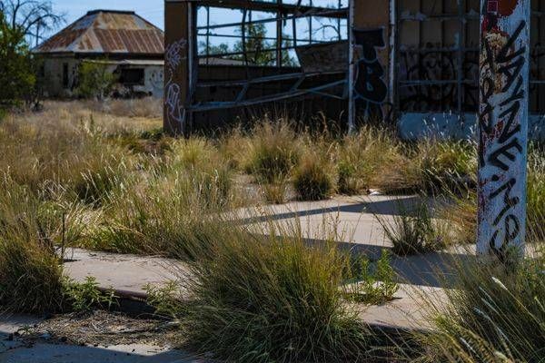 _DSC7779.NEF