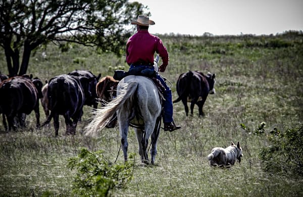 Jim Bob Little Nine Bar Ranch 2