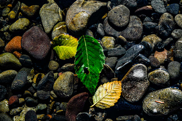 oppisite ends of nature