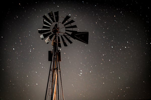 Under a Thousand Stars
