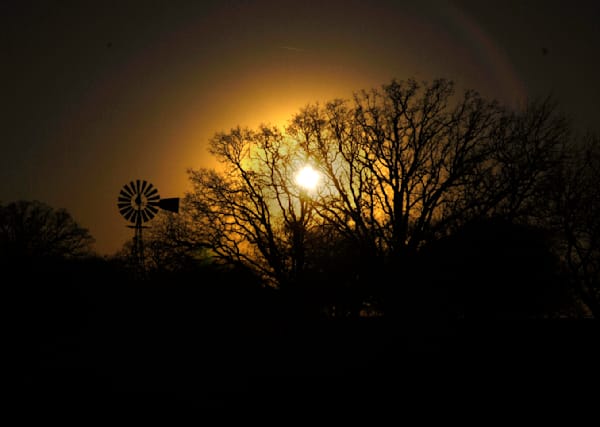 Filtered light