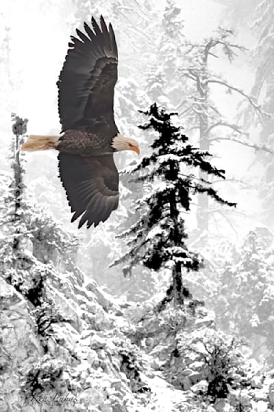 Winter Returns Photography Art | Art Beyond Control